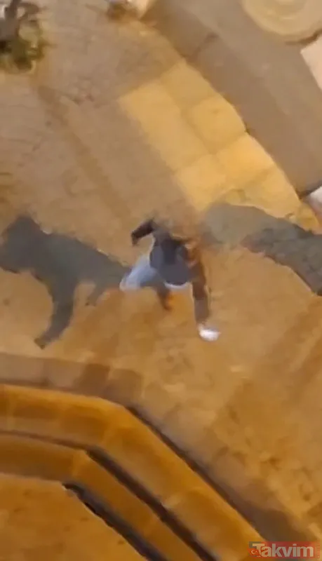 Kağıthane'de ilginç kavga: Çift bıçakla saldırdı dayak yedi - 8