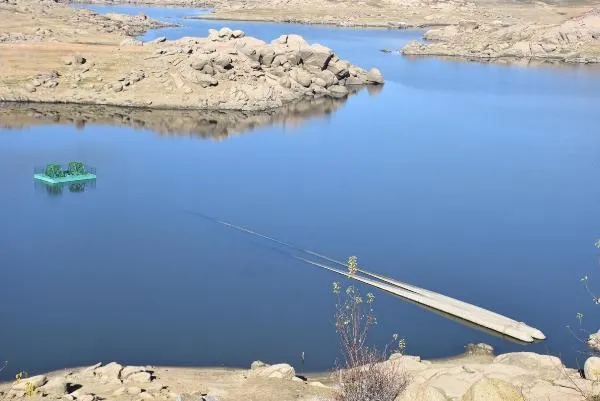 SON DAKİKA: Trakya'da kuraklık alarmı! Uzman isimden korkutan uyarı: Yeraltı sularını tükettik-4