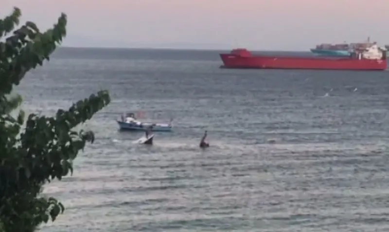 Beylikdüzü'nde korkutan anlar! - 1