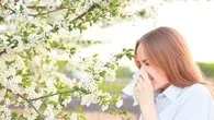 Yedim seni polen alerjisi