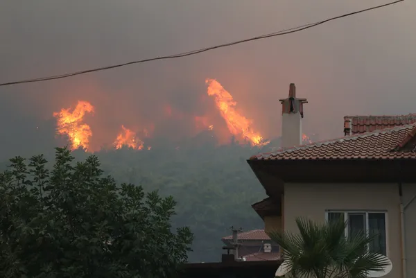 son-dakika-marmariste-yangin-alevler-nasil-basladi-10-yaslarindaki-iki-cocugun-ifadesi-alindi-kitap-yakiyorduk-alev-cogaldi-1627631625805.jpg SON DAKİKA: Marmaris'te yangın! Alevler nasıl başladı? 10 yaşlarındaki iki çocuğun ifadesi alındı: Kitap yakıyorduk alev çoğaldı-6