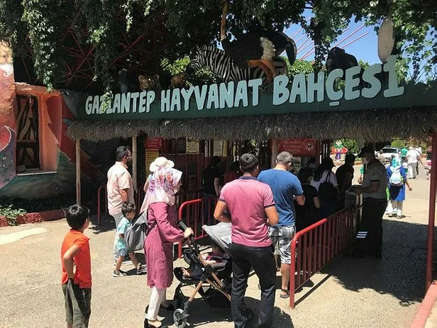Hayvanat bahçesinde panik! Bakıcısını yaralayan aslan kaçtı-6