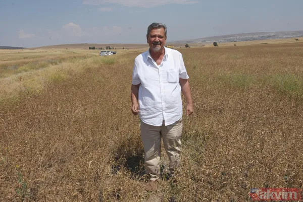 Nadasa bırakacaktı pelemir ekti jet yakıtı üretilecek - 8