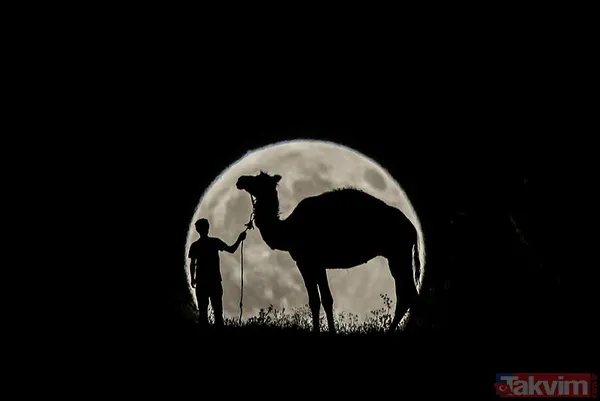 Kanlı AY tutulmasından etkilenen burçlar hangileri? 🌒 AY tutulması Boğa, Yay, Aslan, Koç, Balık, Akrep, İkizler nasıl etkilenecek? - 3