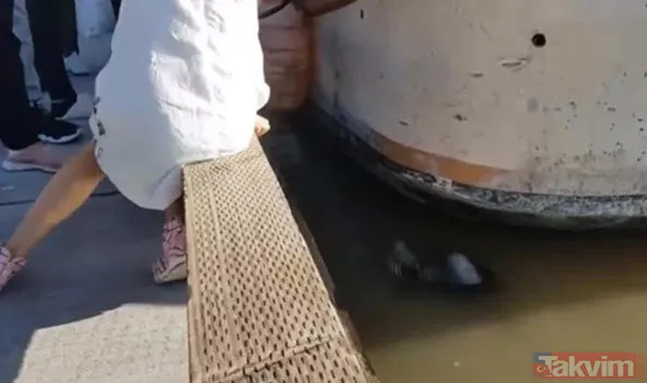 Sadece fotoğraf çektirmek istedi genç kız hayatının şokunu yaşadı! Bir anda üzerine atladı ne var yok... - 4