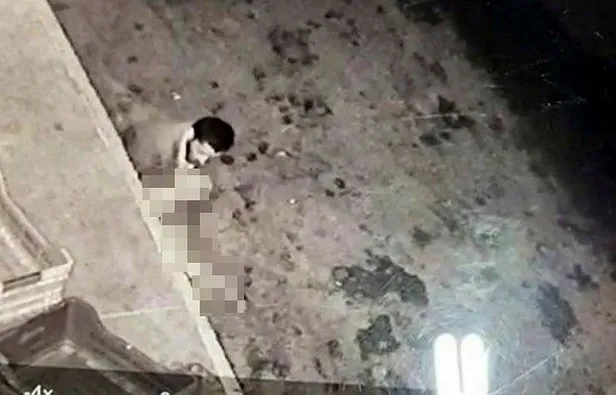 mide-bulandiran-olay-sakaryada-kopegi-taciz-eden-sahis-kameralara-yakalandi-1610659663320.jpeg Mide bulandıran olay! Sakarya'da köpeğe cinsel saldırıda bulunan şahıs kameralara yakalandı-2