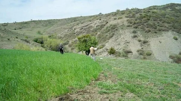 Koronavirüsten sonra talep patlaması! Fiyatlar yüzde 400 arttı! Altından daha yüksek kâr-6