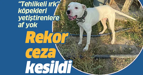 takvim gazetesi