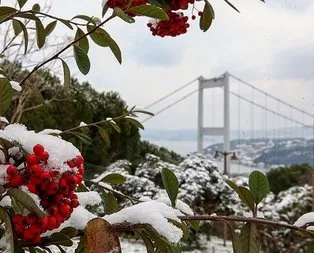 İstanbul’a kar ne zaman yağacak? Açıklama geldi...