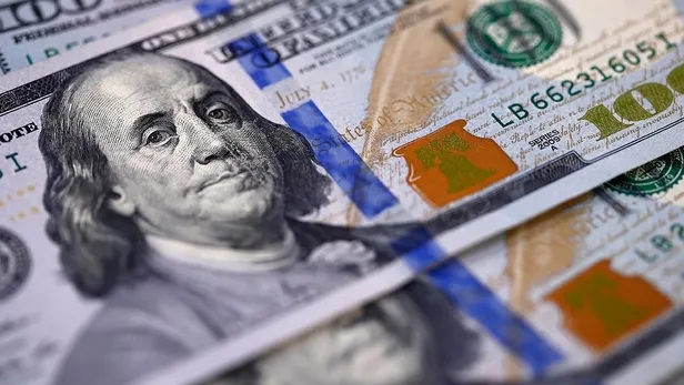 Kısa vadede tarihin en yüksek döviz fazlası: 100 milyar dolarlık açık pozisyon kapandı-2