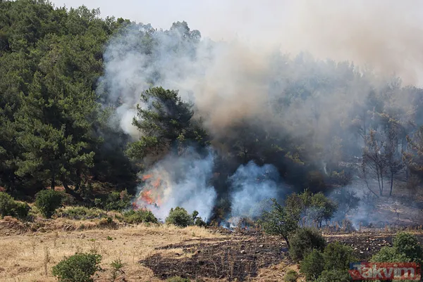 İzmir Bornova'da orman yangını: O yol kapatıldı - 2