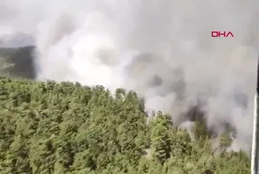 Antalya Akseki'de orman yangın!