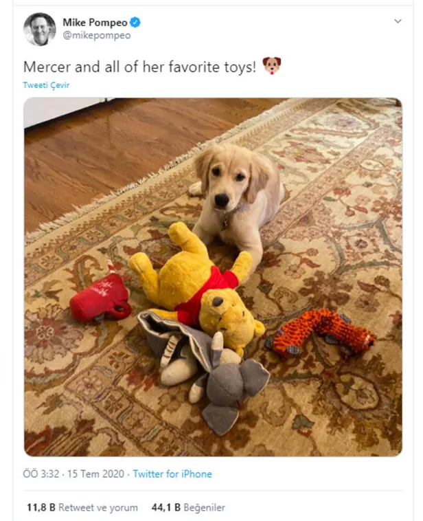 kopek-fotografiyla-cine-mesaj-sosyal-medya-calkalandi-1594905916084.jpg ABD'den köpek fotoğrafıyla Çin'e mesaj! Sosyal medya çalkalandı...-1