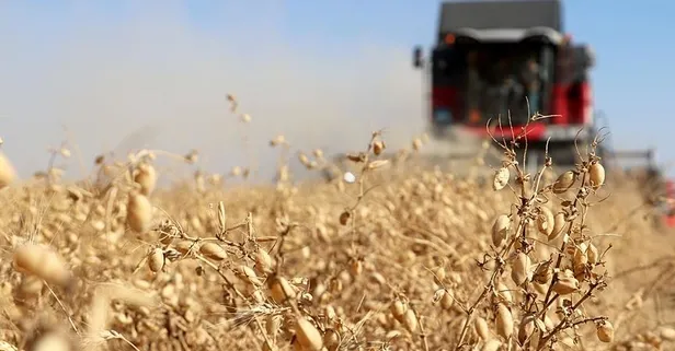 Mazot gübre desteği fiyatları ne kadar? T.C. kimlik numarasına göre 2021 mazot gübre desteği ne zaman yatacak?