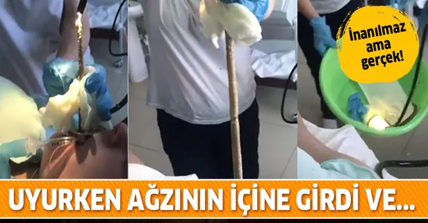 Uyuyan kadının ağzından yılan girdi, midesine indi!