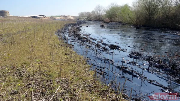 Edirne'de çevre katliamı! Tonlarca fuel oil 30 dekar alana ve dere yatağına yayıldı - 9
