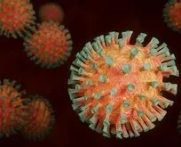 Çin koronavirüsün ham belgelerini DSÖ’den gizledi mi?