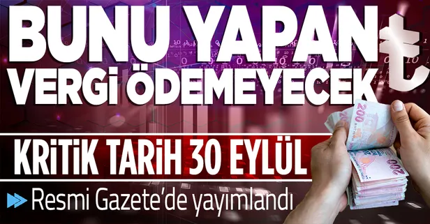 Şirketlere vergi avantajı kararı! Resmi Gazete'de yayımlandı: Kritik tarih 30 Eylül