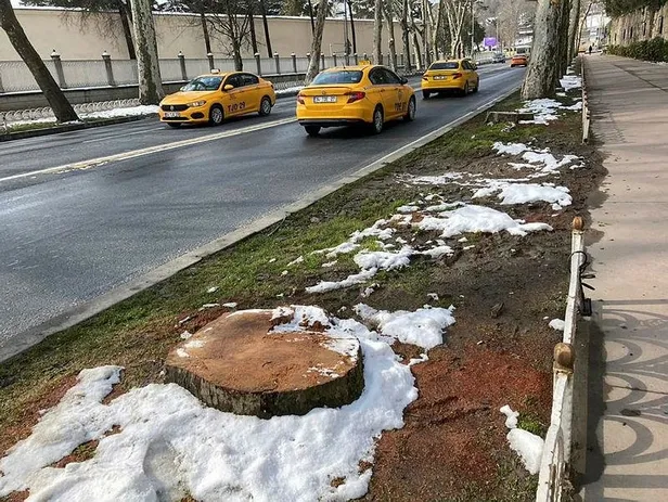 chpli-ibbnin-asirlik-cinarlari-katletmesine-ilce-sakinleri-isyan-etti-ataturk-fotograflarini-kaldirdilar-simdi-1647657036955.jpeg CHP'li İBB'nin rezaletine ilçe sakinleri isyan etti: Atatürk fotoğraflarını kaldırdılar, şimdi çınarları katlettiler-7