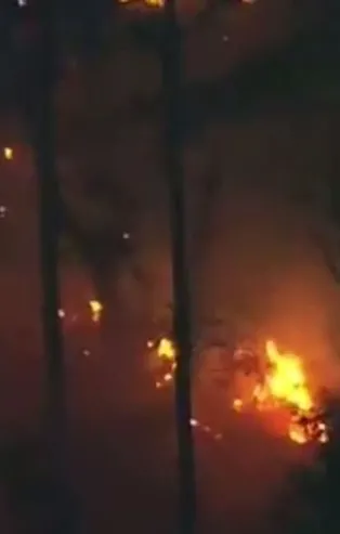 ABD'de kaçırılan uçak düştü