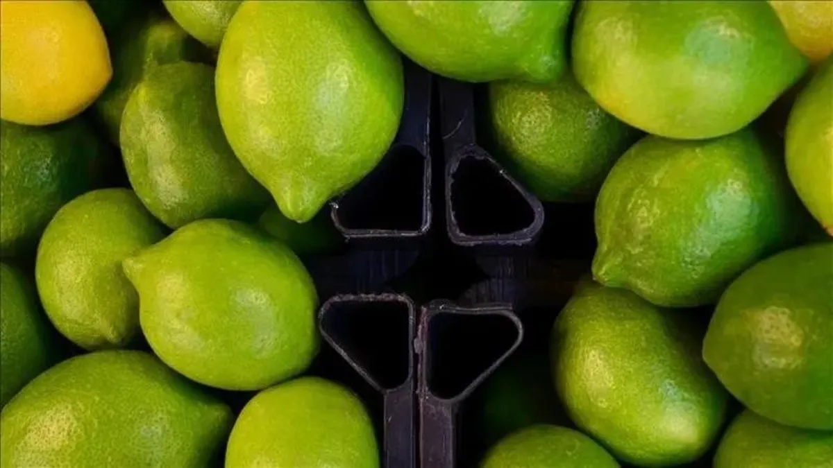 Limon nasıl zam şampiyonu oldu? Ticaret Bakanı Ömer Bolat'tan fahiş fiyatla ilgili flaş açıklama: "Bahaneleri kalmayacak"
