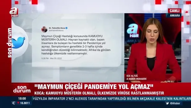 Bakan Fahrettin Koca: ‘’Maymun çiçeği pandemiye yol açmaz’’