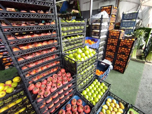 İstanbul'daki meyve ve sebze tezgahlarında bolluk yaşanıyor-10