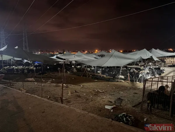 Mersin'de kontrolden çıkan otomobil kurbanlık hayvan pazarına daldı! Çok sayıda yaralı... 20 küçükbaş telef oldu - 1