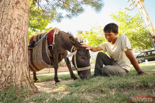 Günün en ilginç haberi: Japon turist Merzifon'dan aldığı eşekle Türkiye'yi gezdi - 14