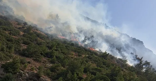 Aydın’da orman ve makilik alanda yangın çıktı