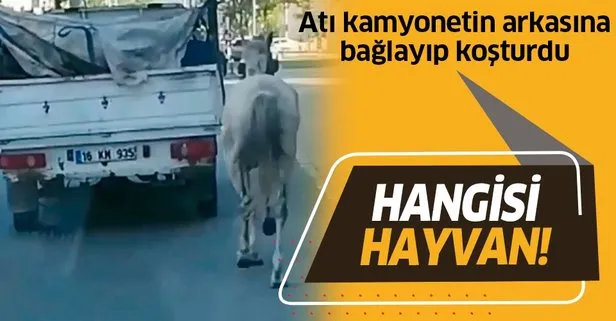 Bursa’da skandal! Atı kamyonetin arkasına bağlayıp koşturdu