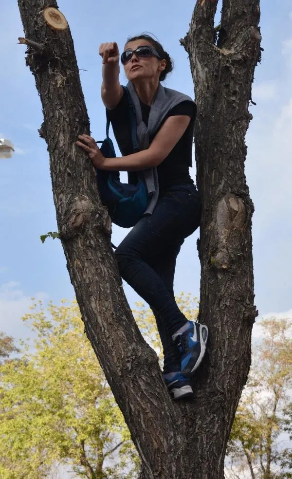 Erdoğan'a sesini duyurmak için ağaca çıktı-1