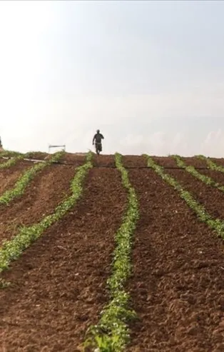Bakanlık incelemeyi tamamladı! 16 zehirli maddeye yasak
