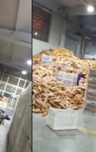 Ankara Büyükşehir Belediyesinde Halk Ekmek'te skandal görüntüler! Yerde ekmek yığınları, maskesiz işçiler...