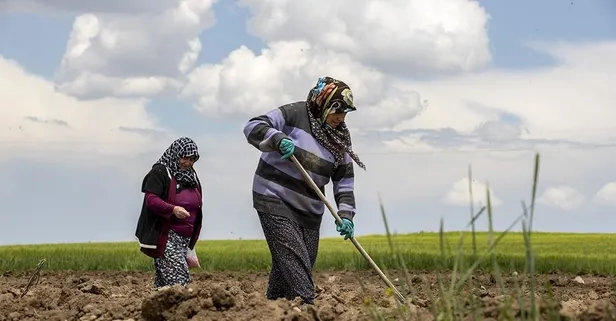 ‘Tarımın Kadın Yıldızları’na destek