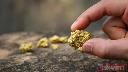 Gram altın 1000 lira... Altının gram fiyatı canlı - 0,5-8, 20, 40, 150 ve 200 gram altın bugün kaç TL? Altın fiyatları sarpa sardı! Tarih verildi!