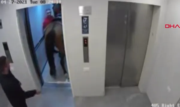 israilde-asansore-atini-bindirmek-isteyen-kisi-gozaltina-alindi-1619792157483.jpg İsrail'de asansöre atını bindirmek isteyen kişi gözaltına alındı-5