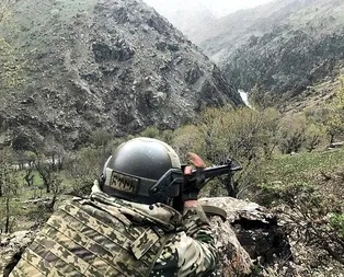 Yeşil listede aranan terörist öldürüldü!