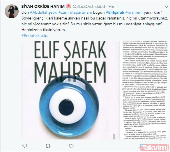 Abdullah Şevki'den sonra bir pedofili skandalı da FETÖ gelini Elif Şafak'tan! - 18