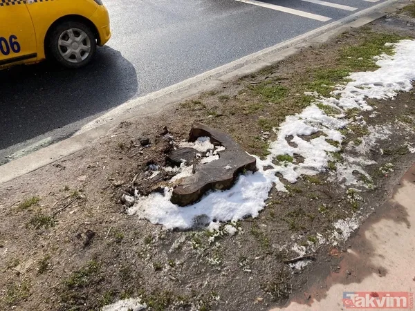 İBB'nin Çırağan'daki ağaç katliamının raporu açıklandı! Bilimsel çalışma yapılmadığı ortaya çıktı - 17