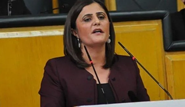 SON DAKİKA: Gara'ya giden HDP’li Dilan Taşdemir’in ismi sahte çıktı! Adını teröristler verdi: Gerçek ismi Dirayet-6