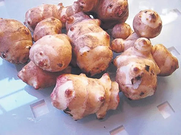 1694036236433.jpeg Uzmanından B6 vitamini uyarısı! Vücudun olmazsa olmazını oluşturuyor: Peki B6 vitamini hangi tahıllarda bolca bulunuyor?-4