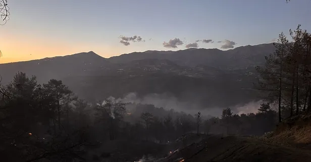 Kahramanmaraş'ta çıkan orman yangını kontrol altına alındı