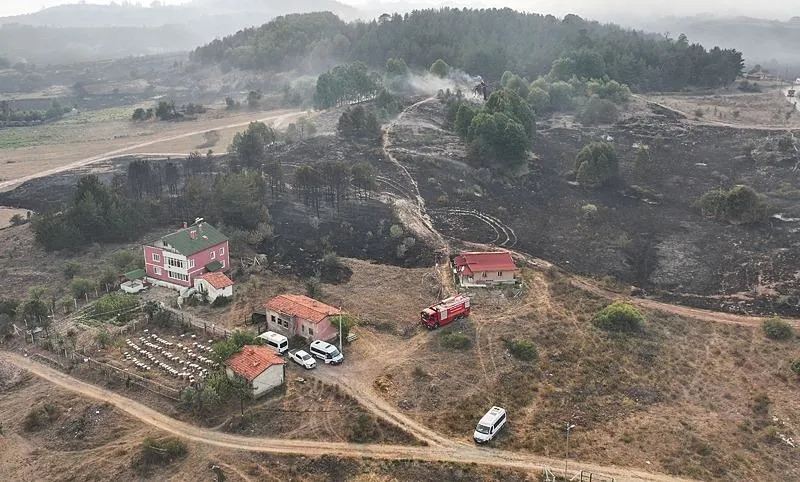 Ankara'da başladı Bolu'ya sıçradı! Gerede'deki orman yangını kontrol altına alındı-11