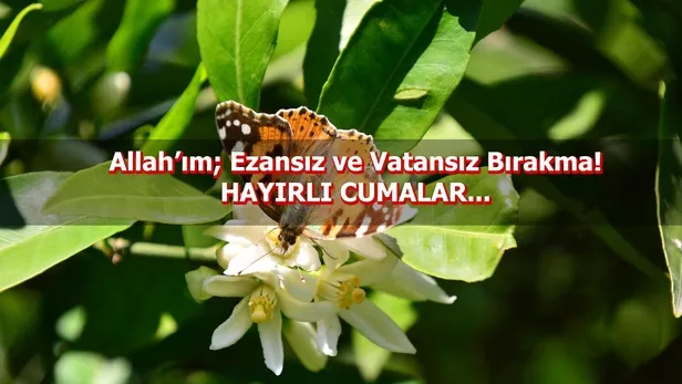 Cuma mesajları: 7 Aralık'a özel kısa, resimli cuma mesajları ile sevdiklerinizin cumasını kutlayın! Hayırlı Cumalar-22