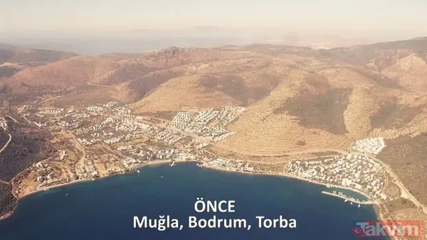 CHP ve yandaşı medyanın yangınlar üzerinden kirli algı oyunu çöktü: 'Otel yapacaklar' dedikleri alanlar tek tek yeşillendirildi - 27