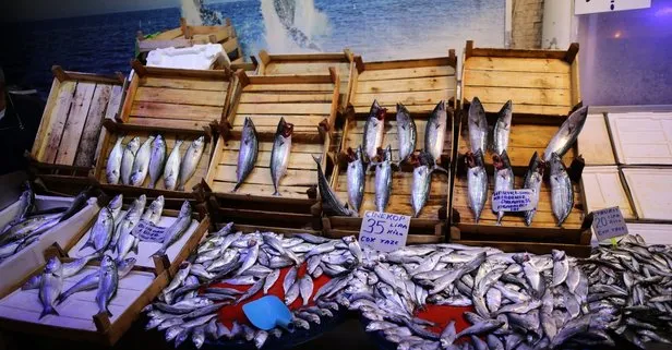 Tezgahlardaki balık bereketi fiyatlara yansıdı