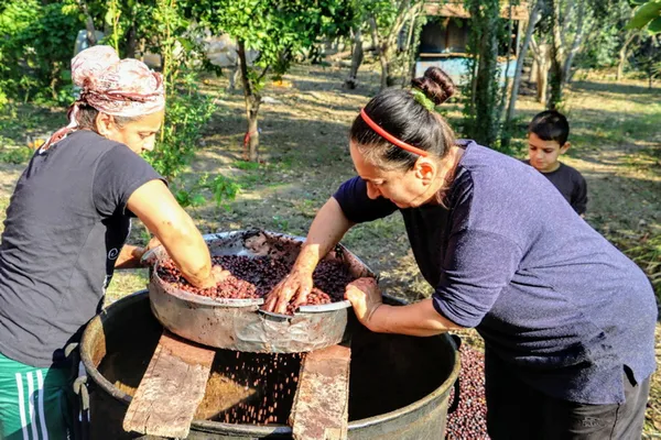 hatayda-dogada-kendiliginden-yetisen-defne-agacinin-meyvesi-yaga-donusturulug-litresi-100-liraya-satiliyor-1605765666243.jpg Hatay'da doğada kendiliğinden yetişen defne ağacının meyvesi yağa dönüştürülüğ litresi 100 liraya satılıyor-6