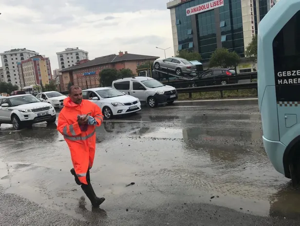Pendik'te boğulan yavru kediyi suni solunumla hayata döndürdü-2