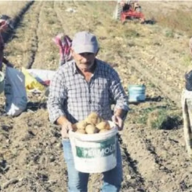 Deneme amaçlıydı geçim kaynağı oldu!